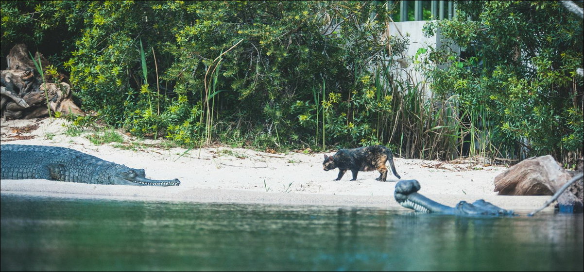 Фотоприколы