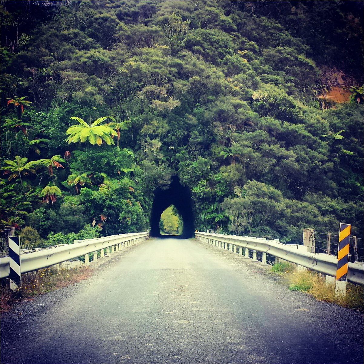 Фотоприколы