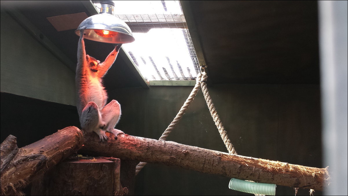 Фотоприколы