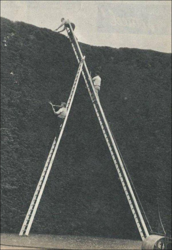 Фотоприколы