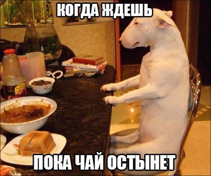 Фотоприколы