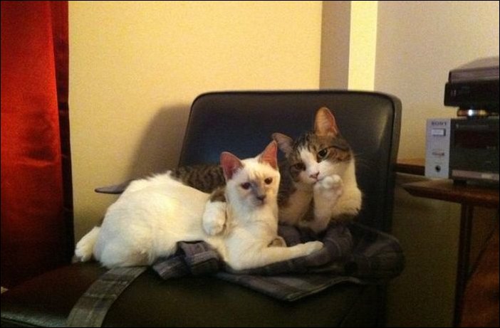 Фотоприколы