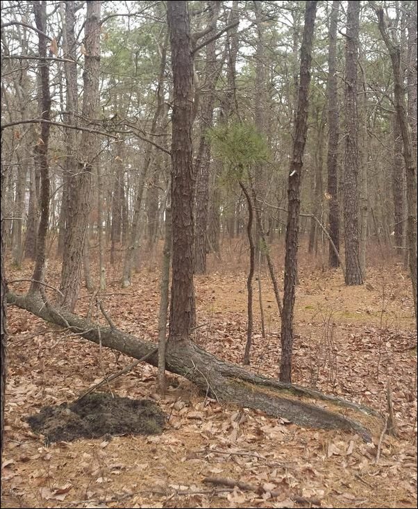 Фотоприколы