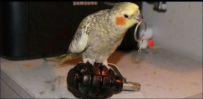 Фотоприколы