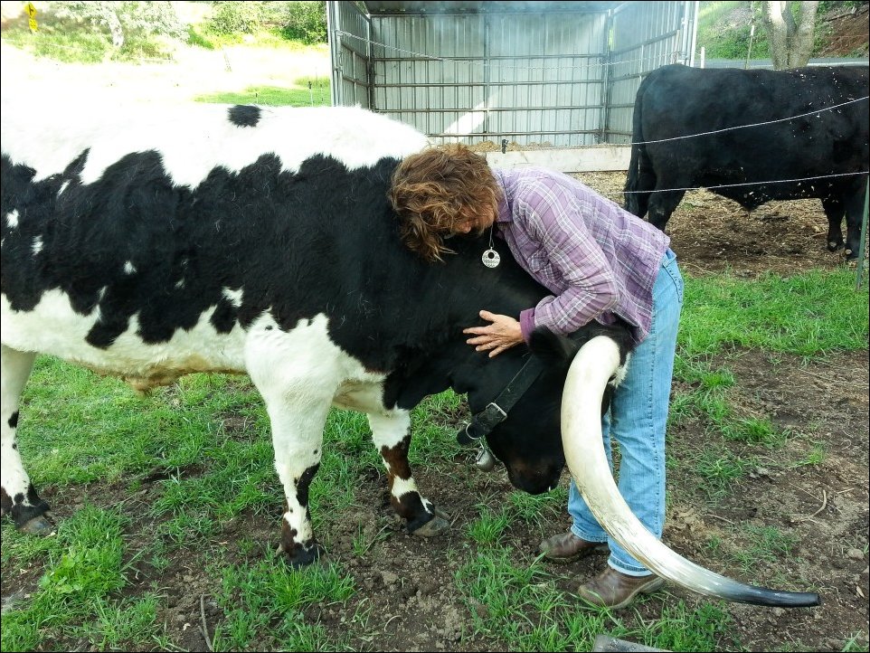 Фотоприколы