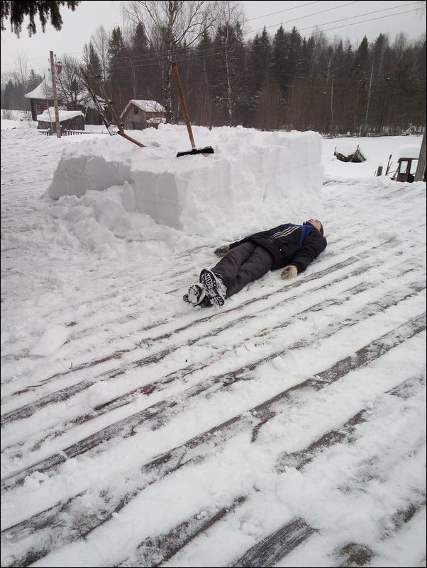 фото приколы