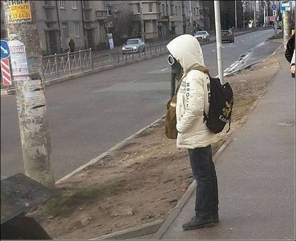 фото приколы