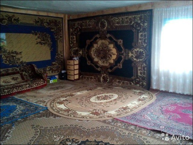 фото приколы