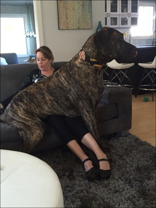 фото приколы