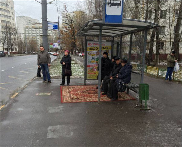 фото приколы