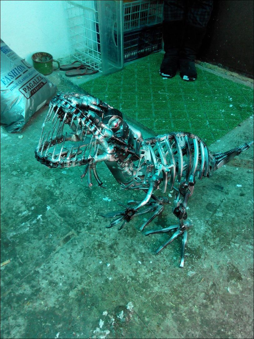 фото приколы