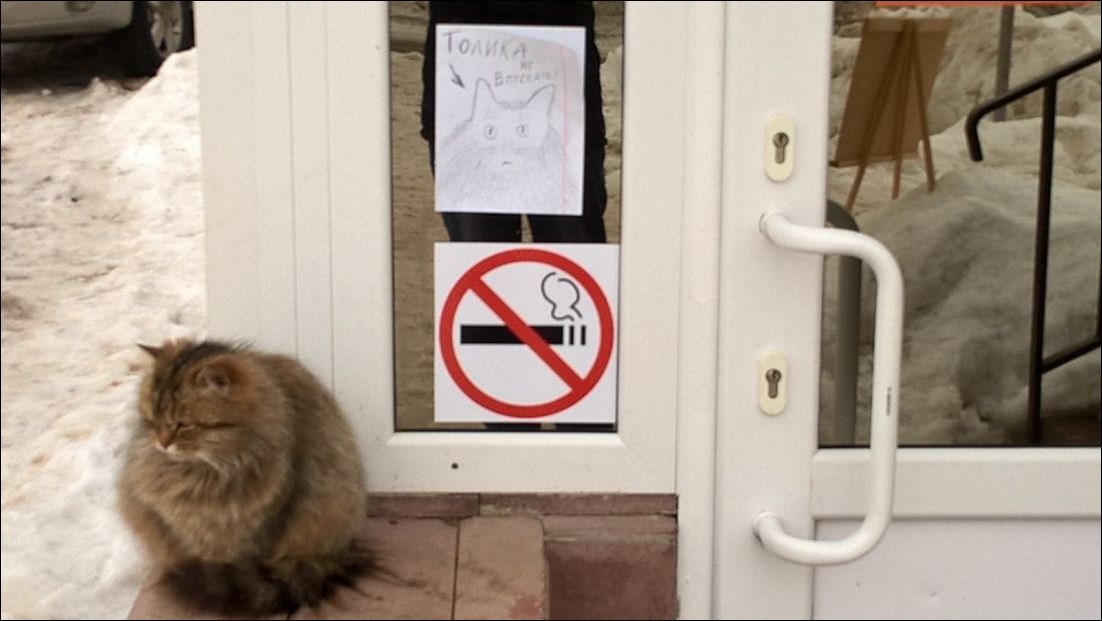 фото приколы