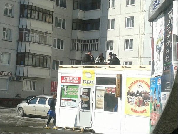 фото приколы