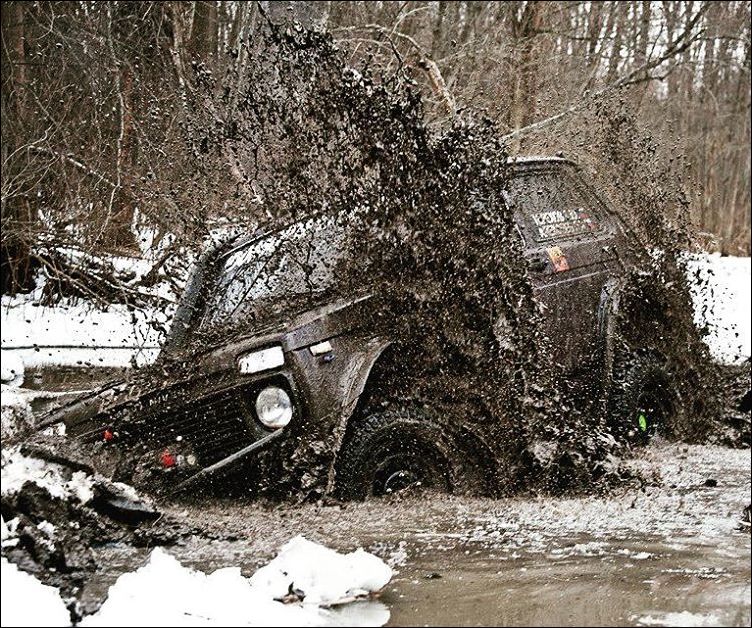 фото приколы