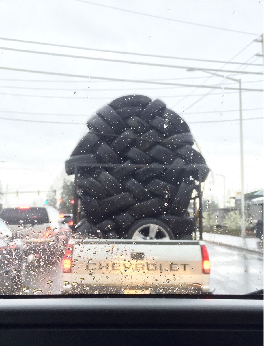 фото приколы