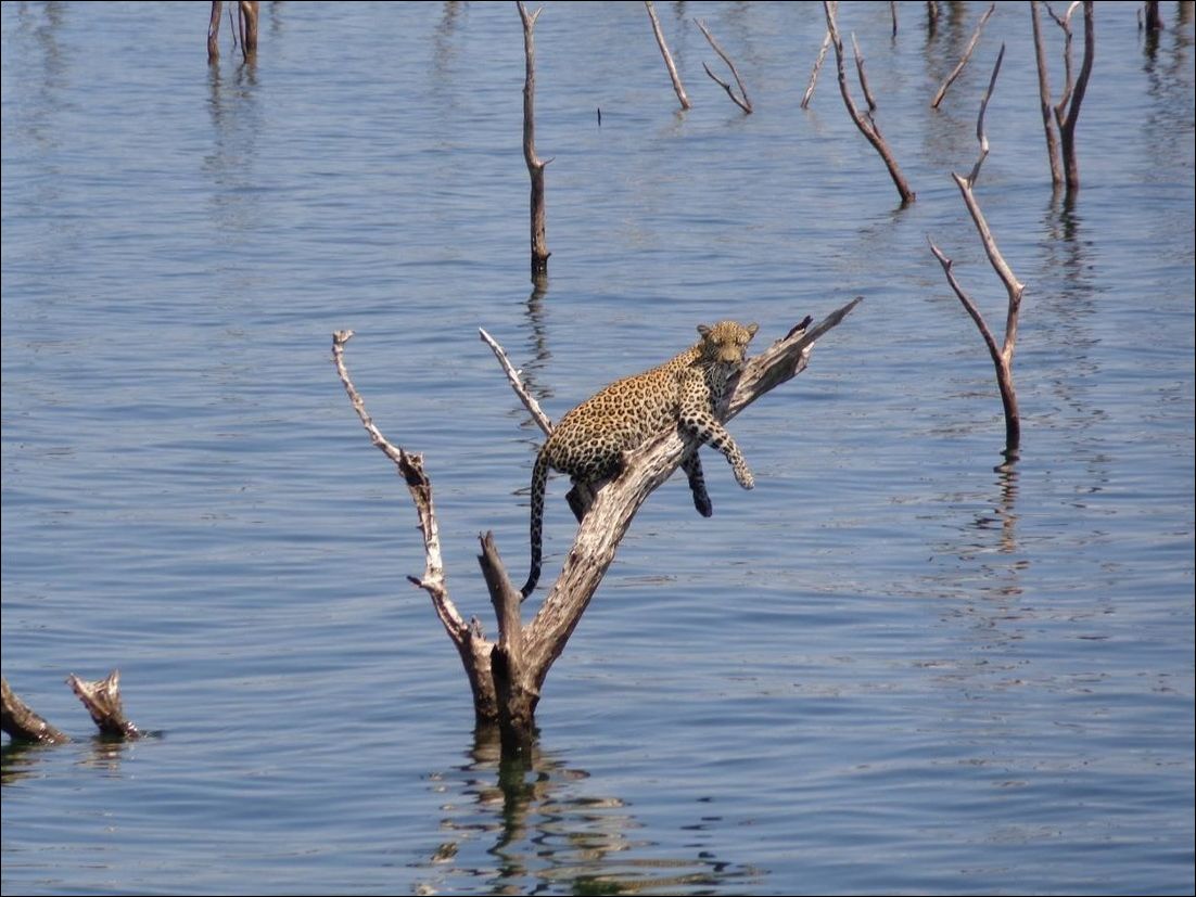 фото приколы