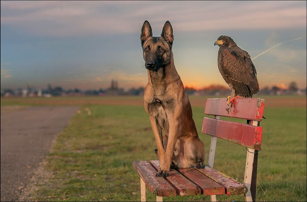 фото приколы