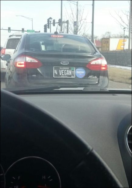 фото приколы