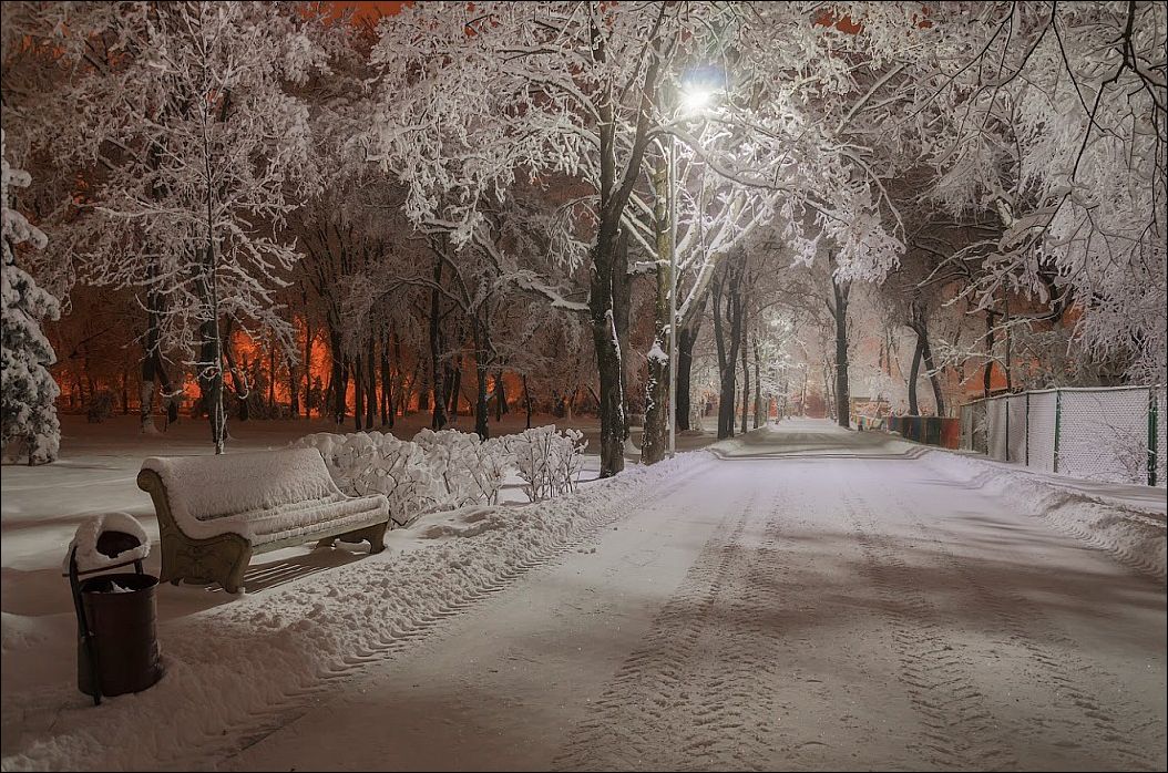 фото приколы