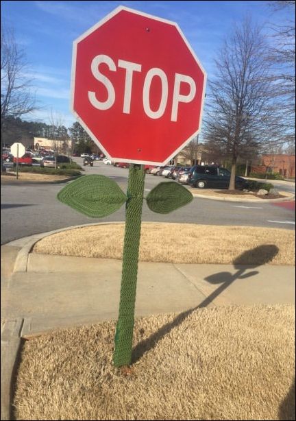 фото приколы