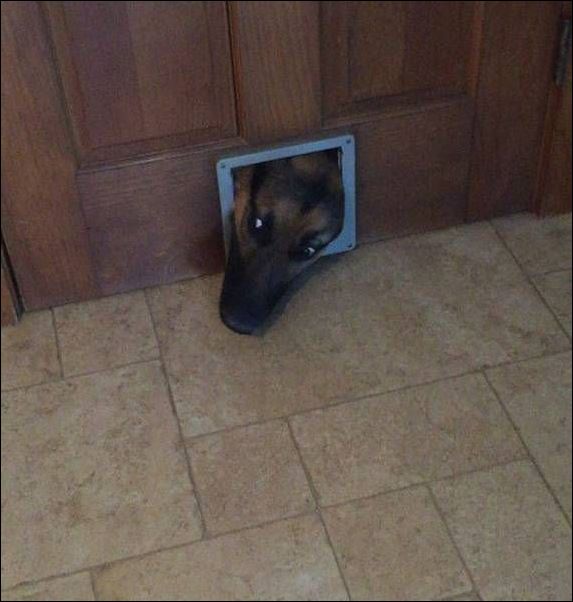 фото приколы