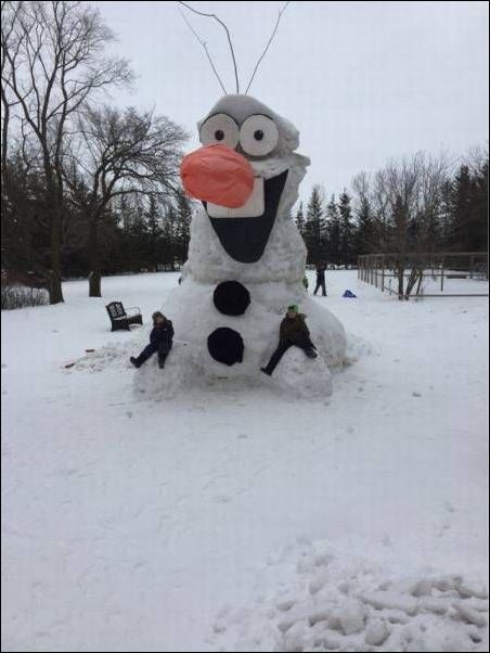 фото приколы