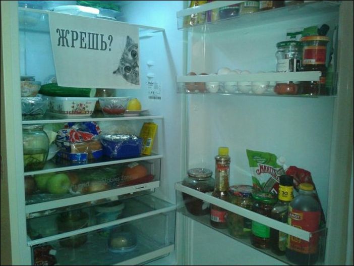 фото приколы