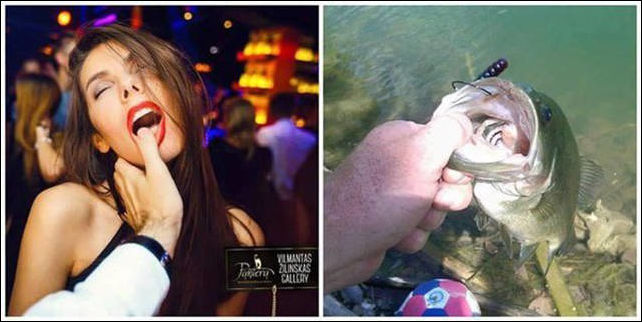 фото приколы