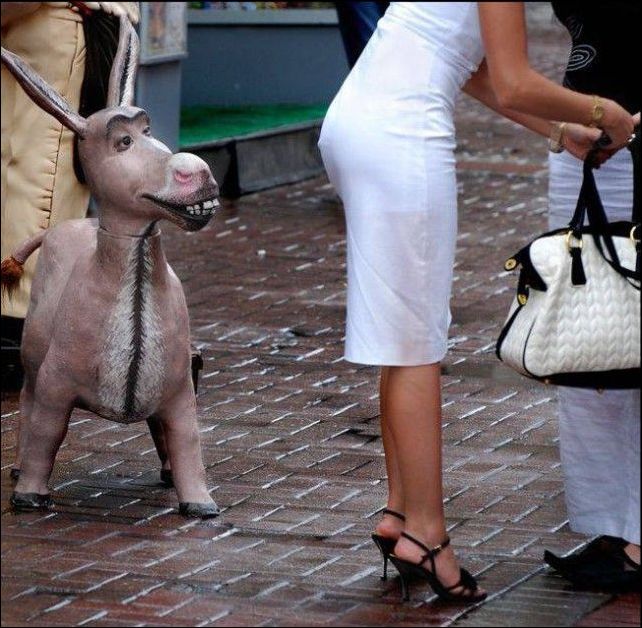 фотоприколы