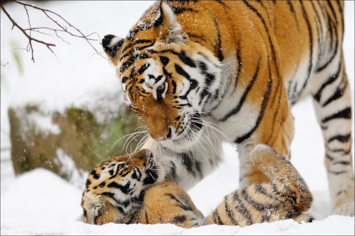 Фото приколы