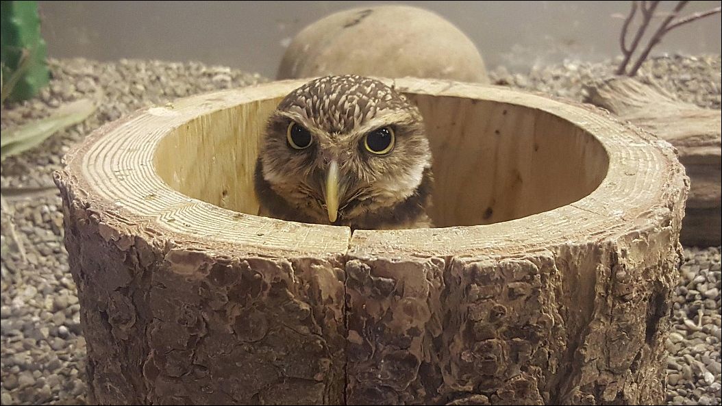 Фото приколы