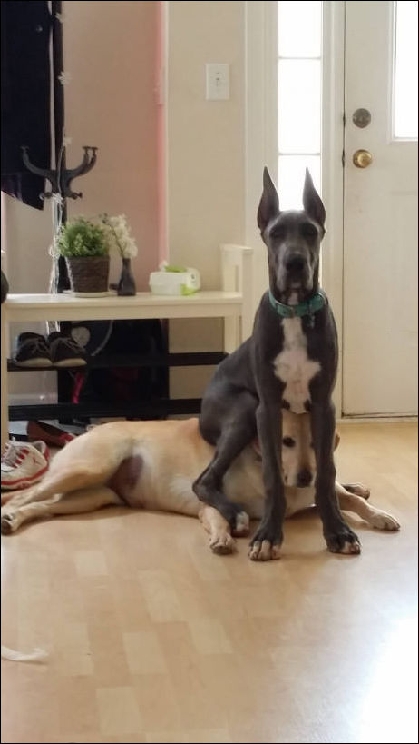 Фото приколы