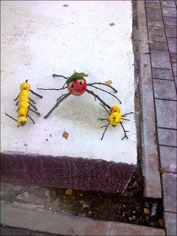 Фото приколы