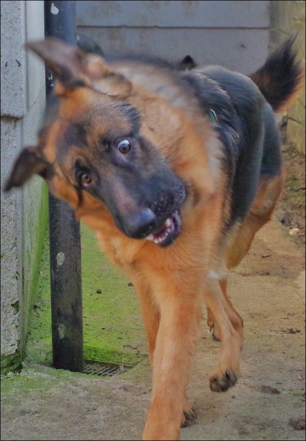 Фото приколы