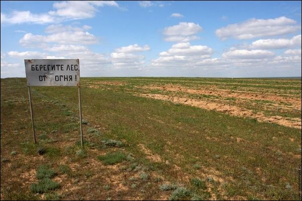 Фото приколы