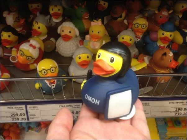 Фото приколы