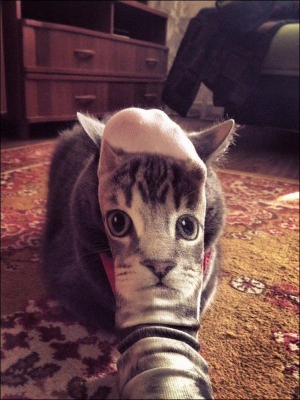 Фото приколы