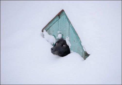 Фото приколы