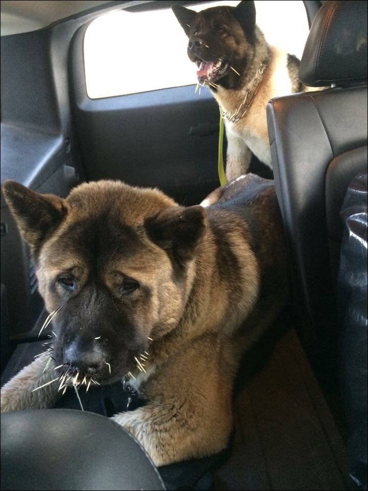 Фото приколы