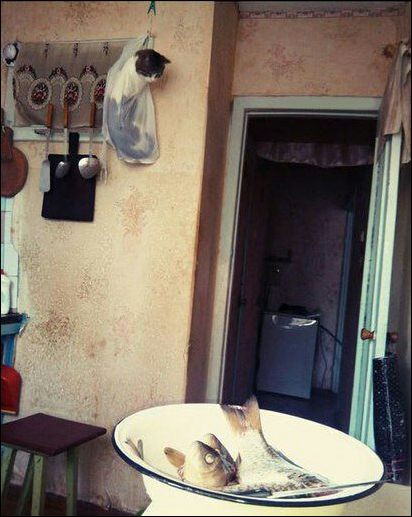 Фото приколы