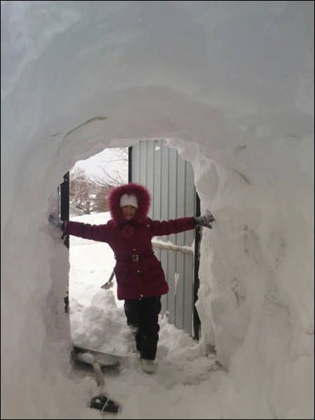 Фото приколы