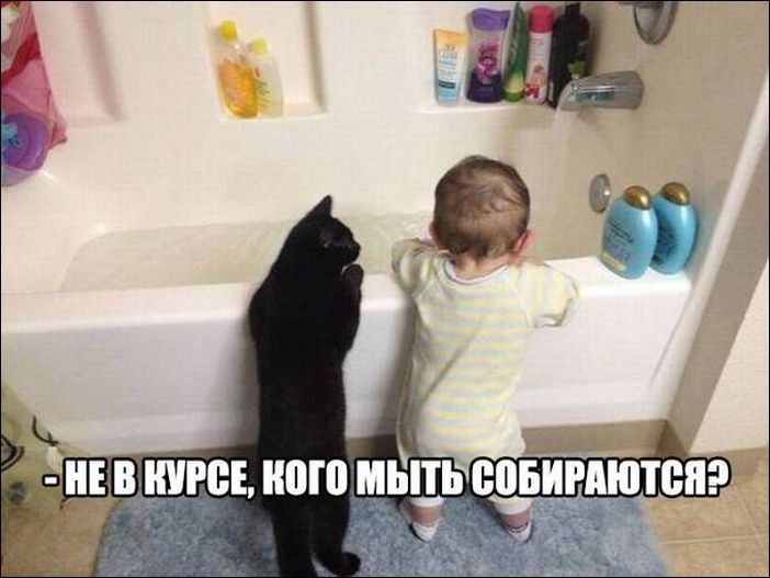 Фото приколы