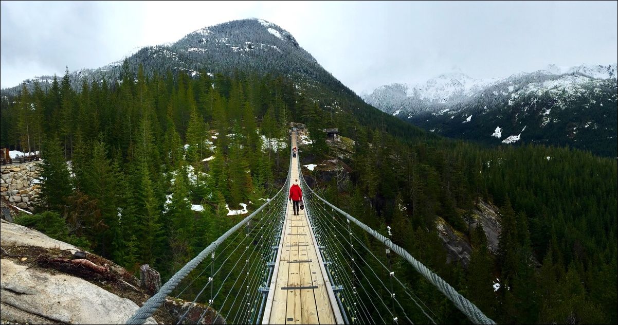 Фото приколы