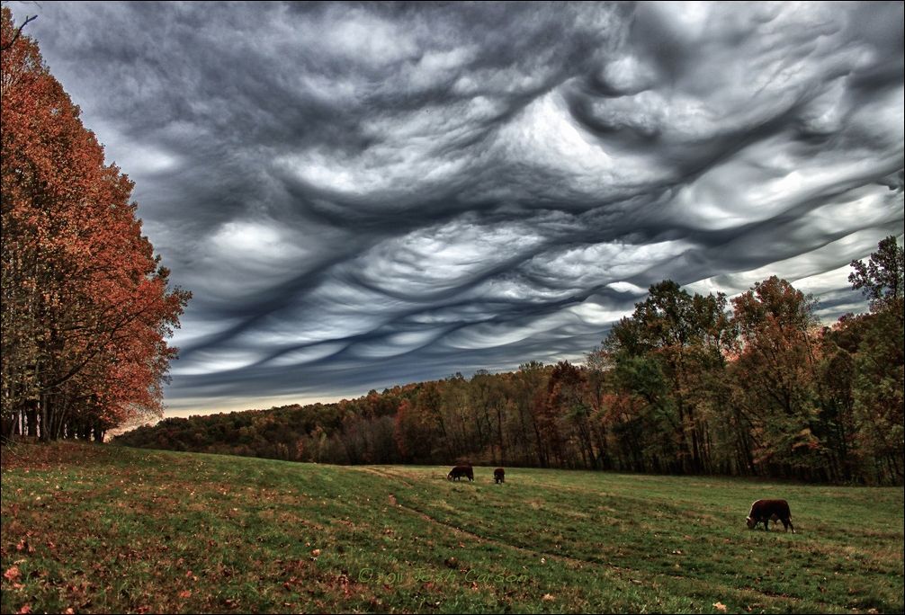 Фото приколы