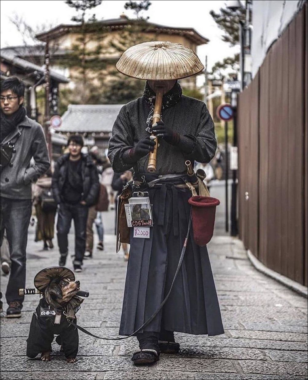 фото приколы