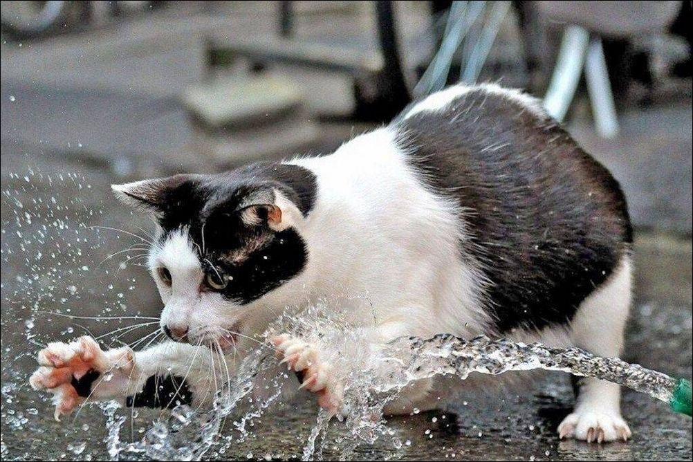 фото приколы