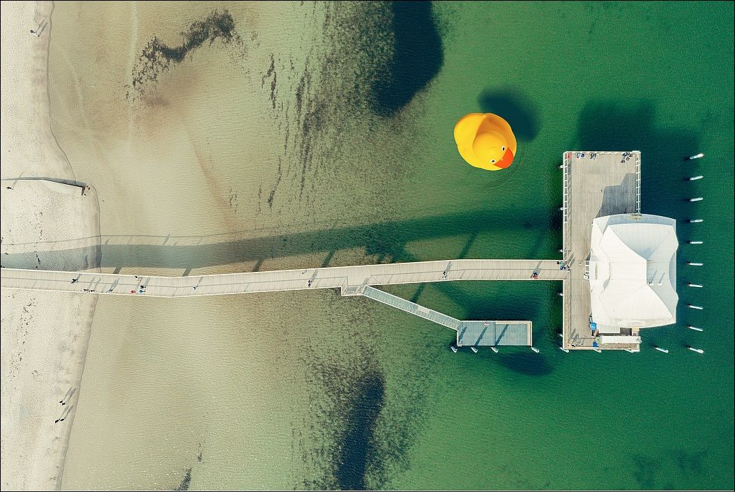 фото приколы