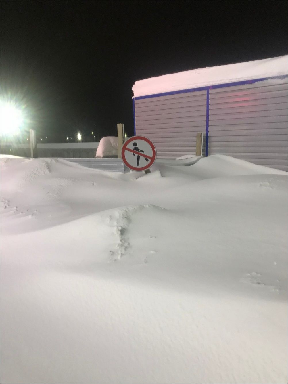 фото приколы