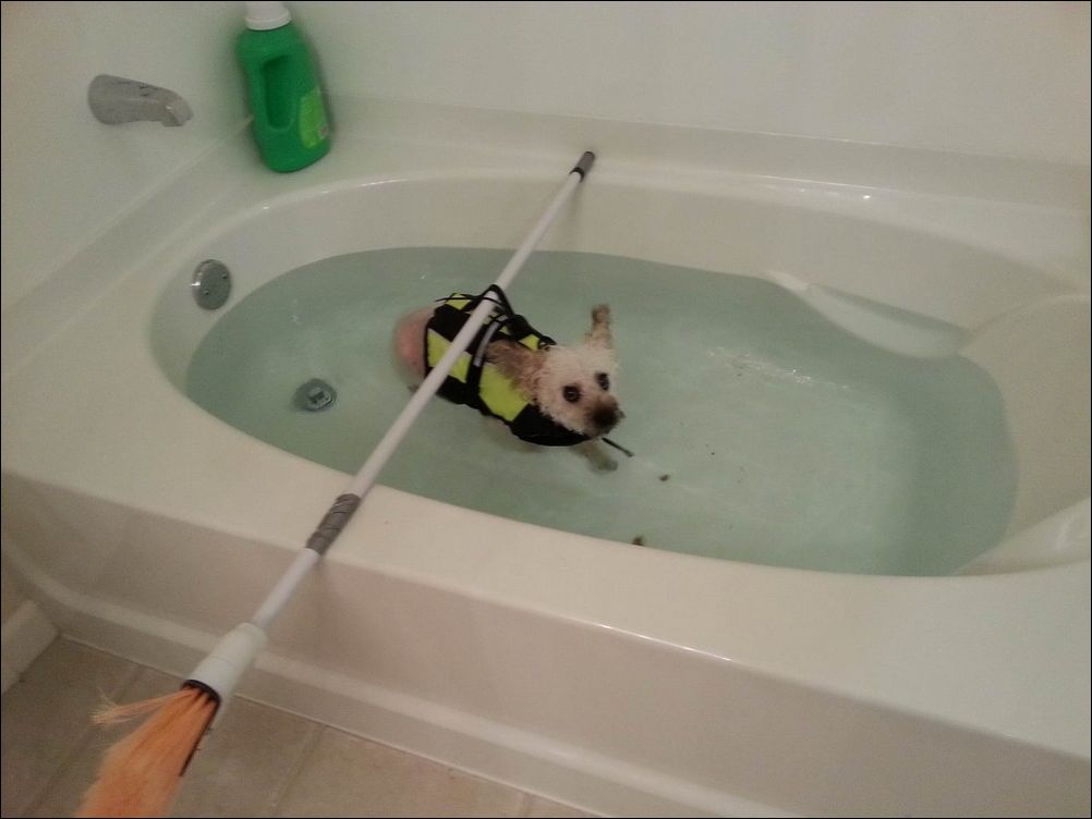 фото приколы