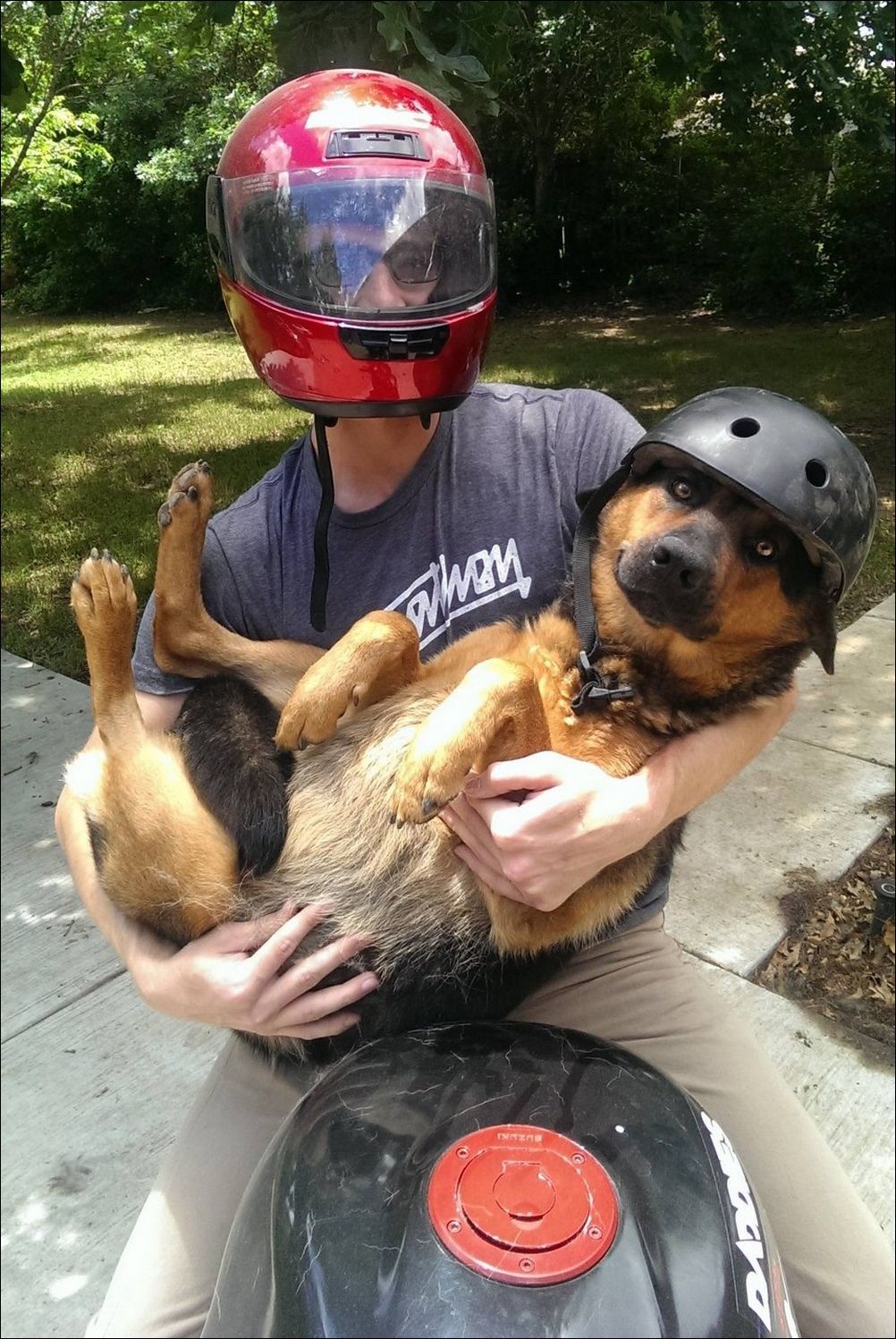 фото приколы